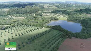 Cenário rural com fazendas sustentáveis, mostrando a beleza do campo e a integração com a natureza.