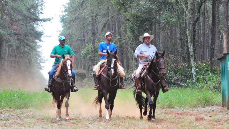 Cavalgadas no Sertão em meio à natureza exuberante