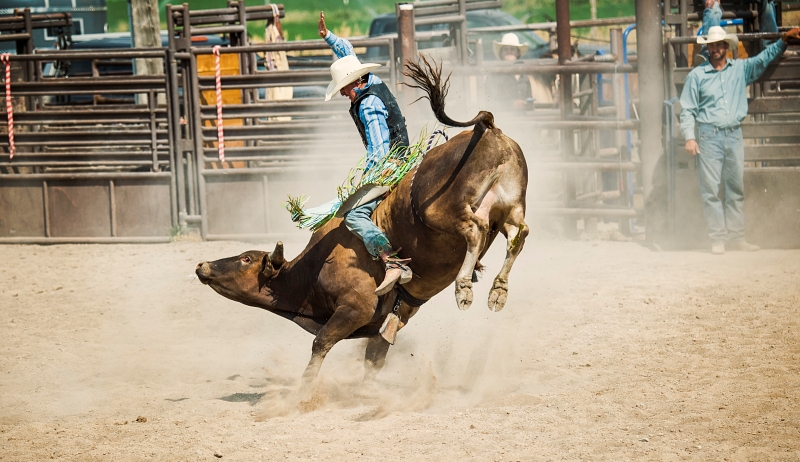 Participantes em um tradicional rodeio brasileiro com montarias e palhaços de rodeio.
