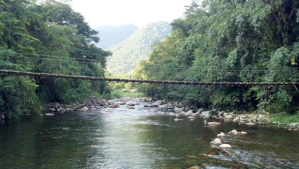 Pólderes verdejantes e paisagens rurais de Joinville, ideal para turismo rural.