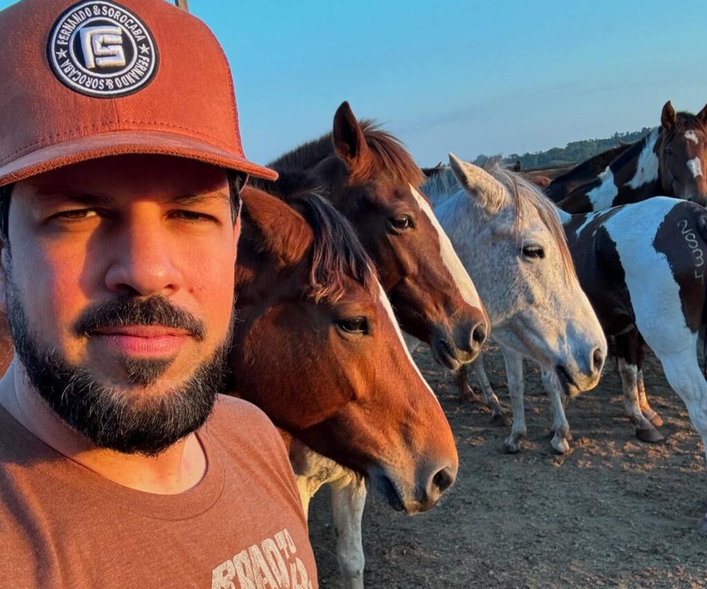 Cavalo Quarto de Milha em um campo verdejante sob um céu azul, representando a conexão com a natureza.