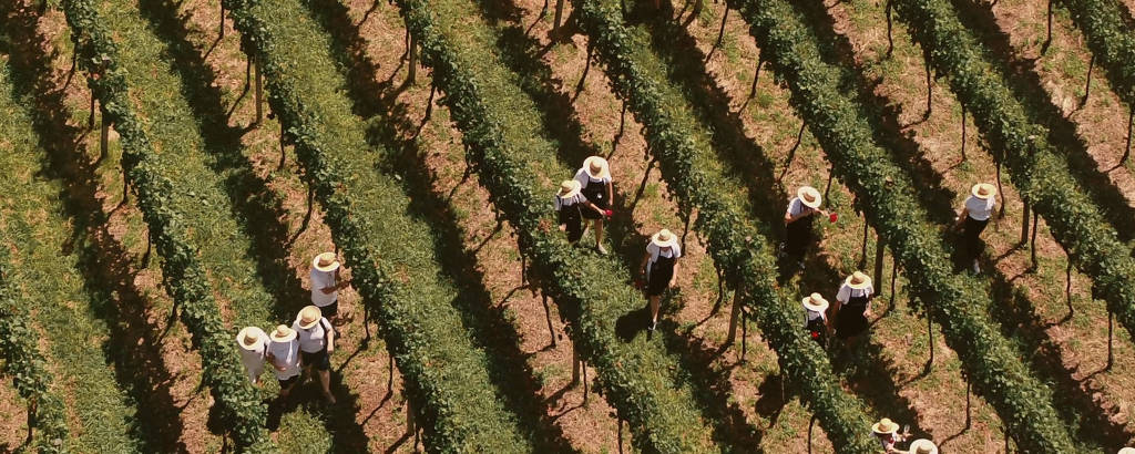Paisagem de uma fazenda com animais e uma ampla área verde típica da vida rural country.