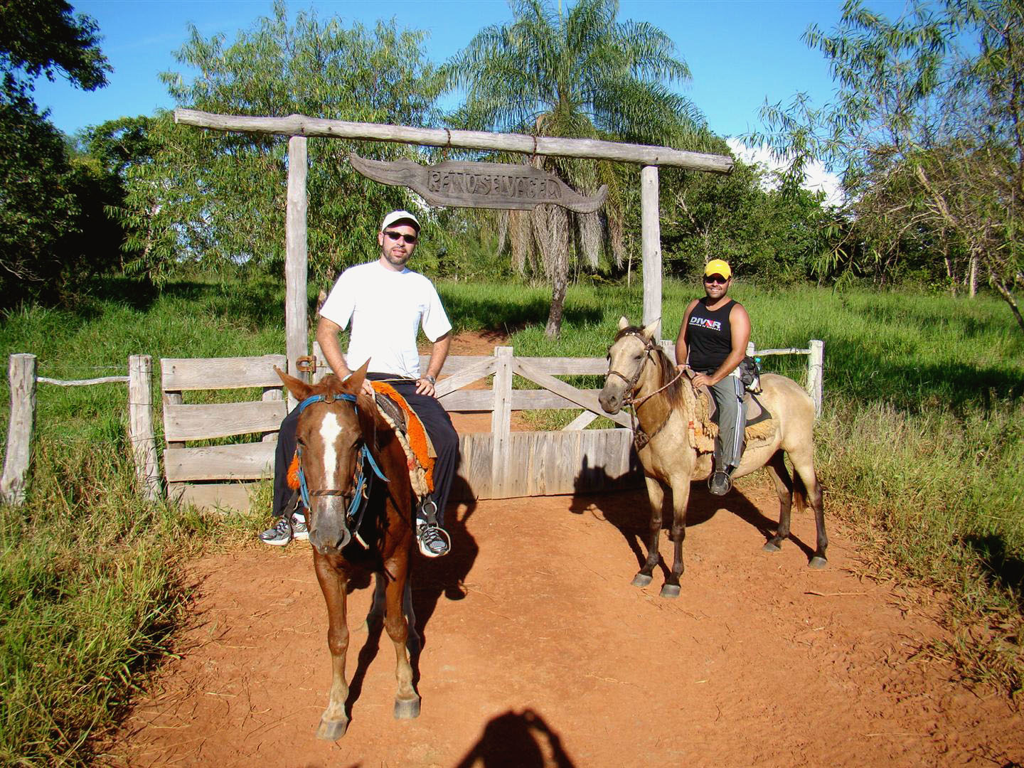 Cavalgadas no Pantanal em meio à natureza exuberante.