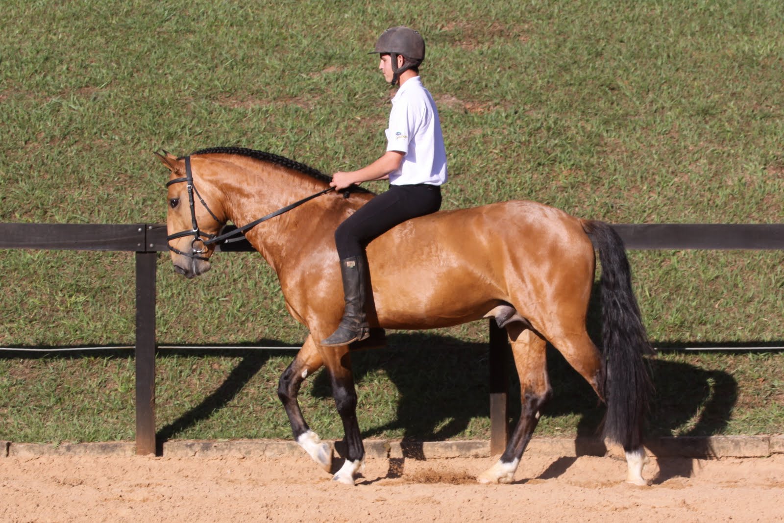 Montaria em Cavalos em um cenário country ao ar livre