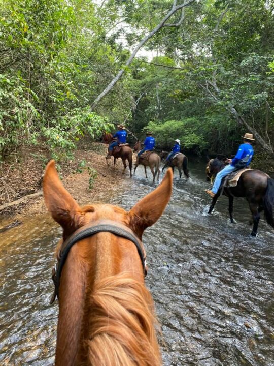 Cavaleiros em uma trilha rural desfrutando da natureza durante uma cavalgada.