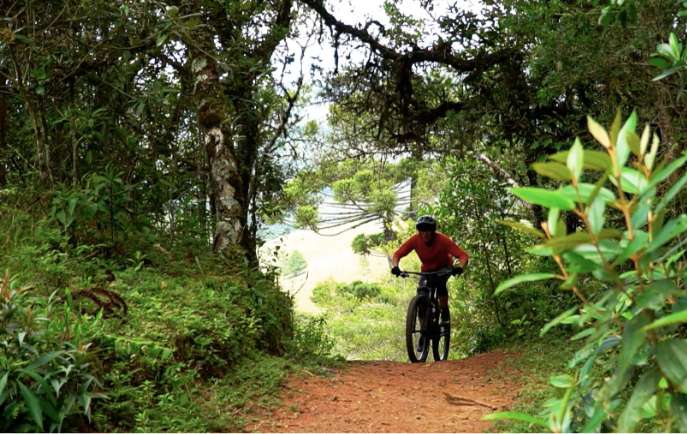 Trilhas de bicicleta em Campos do Jordão