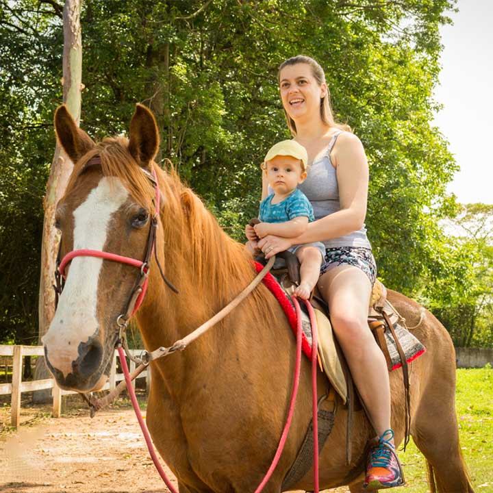 Cavaleiro montado em um cavalo em uma trilha na fazenda, cercado pela natureza exuberante do interior de São Paulo.