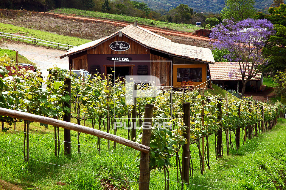 Adega Rural e Vinícola na Estrada do Vinho, São Roque, interior de SP.