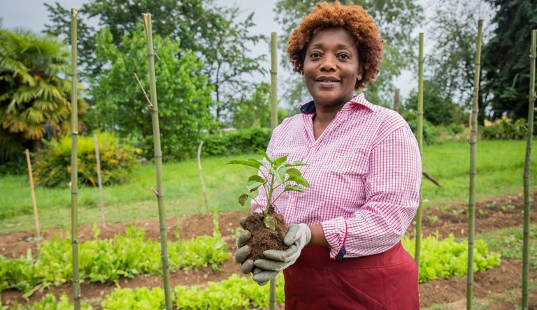 Vida rural em harmonia com a natureza