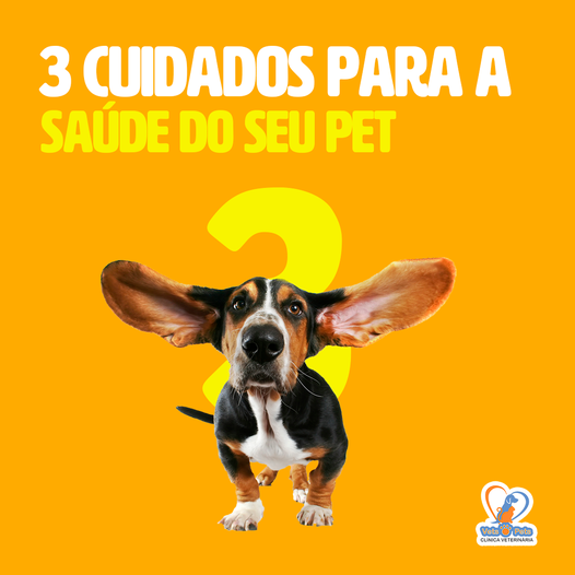 Cuidado com a Saúde Animal para um Bem-Estar Ideal em um ambiente rural
