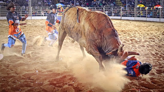 Montaria em touros durante o Rodeio de Auriflama 2024, destacando a emoção e a adrenalina do evento.