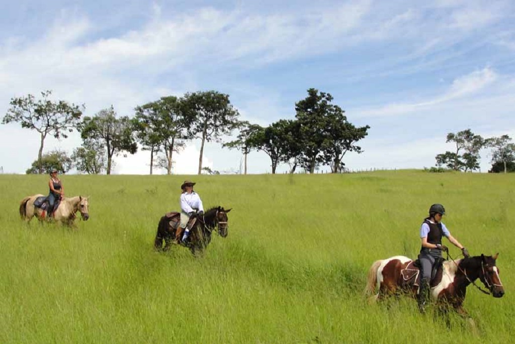 Cavalgadas e trilhas no campo com paisagens deslumbrantes e natureza exuberante.