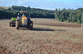 Começa o plantio de trigo no Rio Grande do Sul - Secretaria da Agricultura, Pecuária, Produção Sustentável e Irrigação