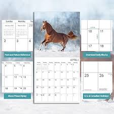 Calendário de parede 2025, calendário de 2025, calendário mensal de parede de gado de cavalo, 30,5 x 61 cm aberto, calendário planejador familiar, ...