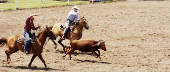 Quais são as Regras do Team Roping? - Team Roping Brasil
