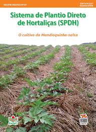n. 147 (2018): Sistema de Plantio Direto de Hortaliças (SPDH): Cultivo da Mandioquinha-salsa | Boletim Didático