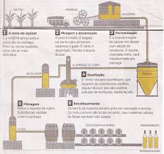 Cachaça Envelhecida: Descubra os Ingredientes Secretos da Bebida