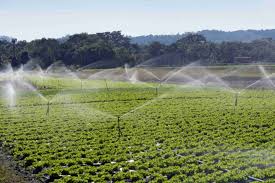 Componentes do Sistema de Irrigação por Aspersão » Portal Agriconline