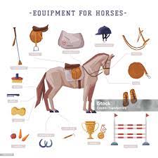 Equipamentos de Cavalo: Nomes e Guia Completo