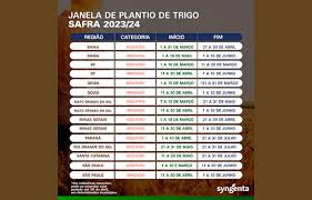 Janela de plantio do trigo e o cenário para a safra 2023 - Portal Mais Agro