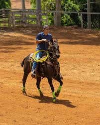 Team Roping Brasil (@teamroping) • Instagram photos and videos