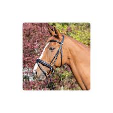 Cavalo Equipamento Equestrian Atacado Cavalo Bridle Cavalo Bridle Peças e Acessórios Portátil| Alibaba.com