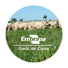 Embrapa Gado de Corte (@embrapagadodecorte) • Instagram photos and videos