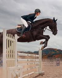 Villa Hípica de Londrina | 🤔 Você sabe a diferença entre hipismo e equitação? EQUITAÇÃO 👉🏼 É a técnica de montaria equestre, na arte de montar o cavalo. 👉🏼 A... | Instagram