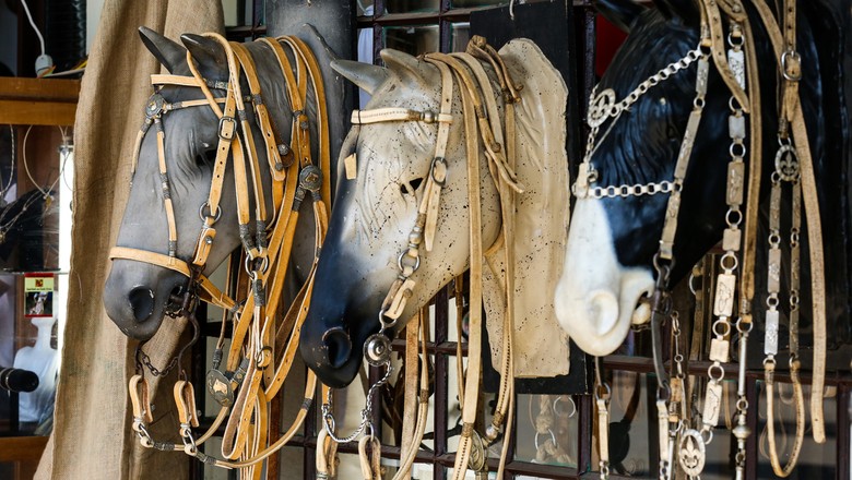 Lojas de Acessórios para Cavalos: Onde Encontrar e Dicas