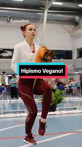 Hipismo Vegano: O Esporte Diferente e Divertido da Finlândia