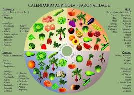 tabela de plantio e colheita - Pesquisa Google | Horta, Plantio, Frutas