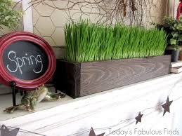 Decore sua casa com vasos de grama de trigo super verdinhos | Blog ShopCama