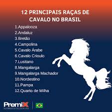 Conhecendo Raças de Cavalos: Guia das Melhores Raças