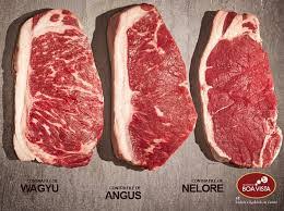 Carne Nelore Preço: Guia Completo para a Melhor Escolha
