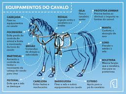 Equipamentos de Cavalo: Guia Completo e Nomes