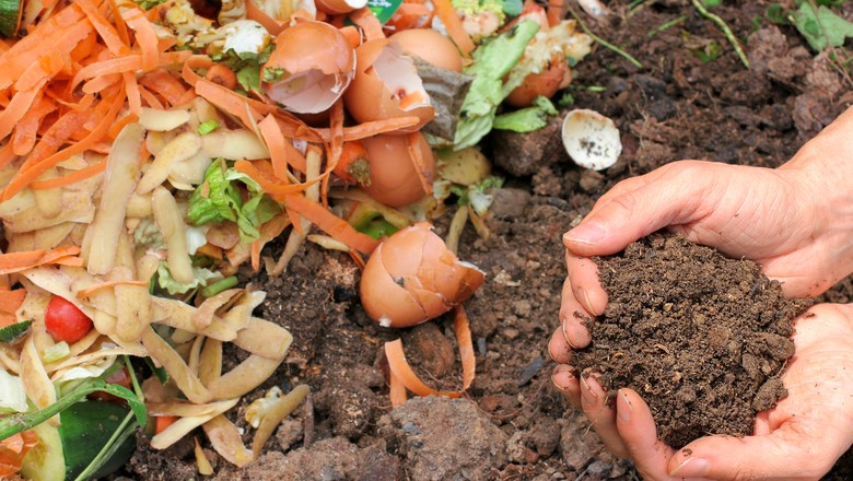 O que é compostagem e como fazê-la em casa - Revista Globo Rural | Sustentabilidade