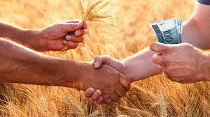 Como Vender Bem a Produção Agrícola?