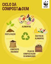 Passo-a-passo para elaborar sua composteira | WWF Brasil