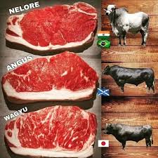 Entenda a Diferença: Nelore, Angus e Wagyu