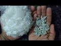 Como plantar algodão em vasos (germinação) - YouTube