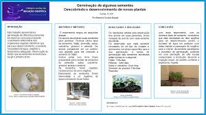 GERMINAÇÃO DE ALGUMAS SEMENTES – DESCOBRINDO O DESENVOLVIMENTO DE NOVAS PLANTAS – Colégio Santa Doroteia de Porto Alegre