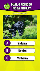 Qual é o nome do pé da uva? Descubra nesta divertida pesquisa!