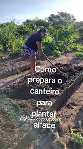 Como preparar canteiro para plantar alface