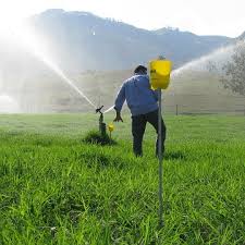 Entenda as diferenças entre os principais tipos de irrigação