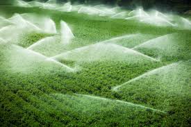 O que é irrigação? Confira seus benefícios para o campo – Irricom