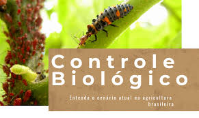 Controle Biológico: o que é, como funciona e tipos de controle