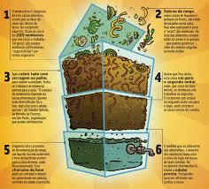 Compostagem: jeito simples de reciclar o lixo orgânico em casa
