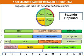 A rotação de culturas como solução de problemas atuais da Agricultura
