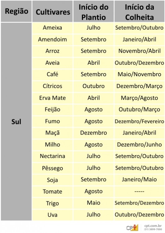 Plantio de Hortaliças Região Sul: Guia Completo e Época Ideal