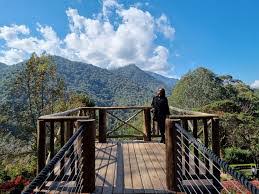 Trilha do Tropeiro em Santo Antônio do Pinhal: Aventura e História